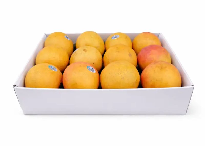 Mango Fruit Box